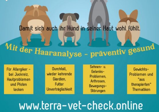 Terra Vet Check - Haaranalyse - Störfelder Futtermittel